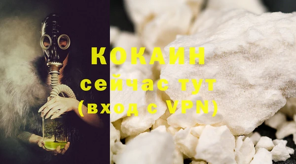 тгк Абаза