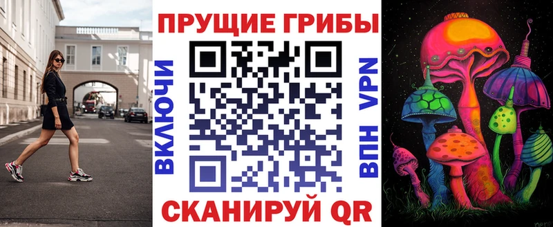 Псилоцибиновые грибы Cubensis  Шарыпово 