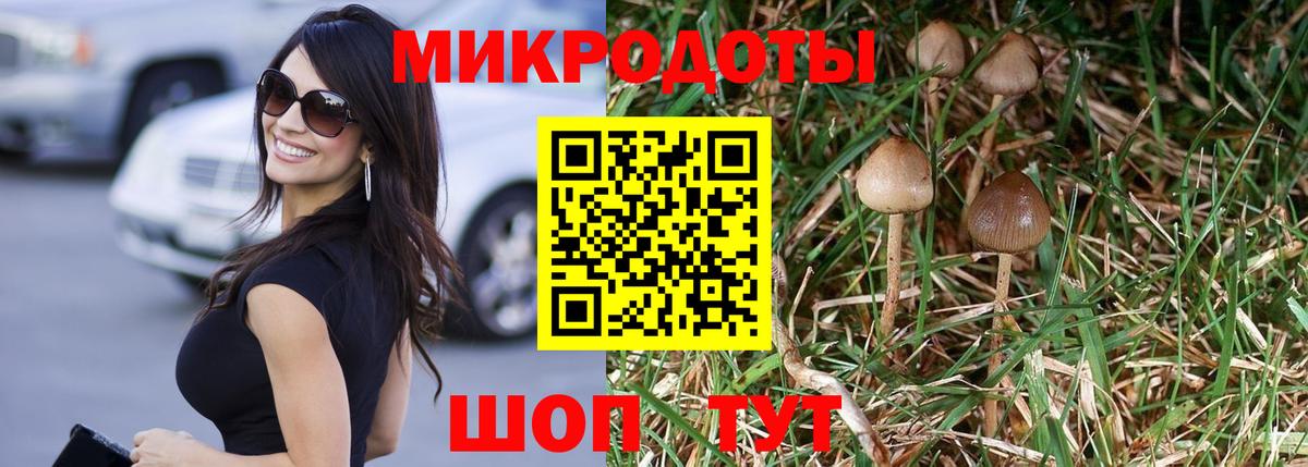 Псилоцибиновые грибы мицелий Шарыпово