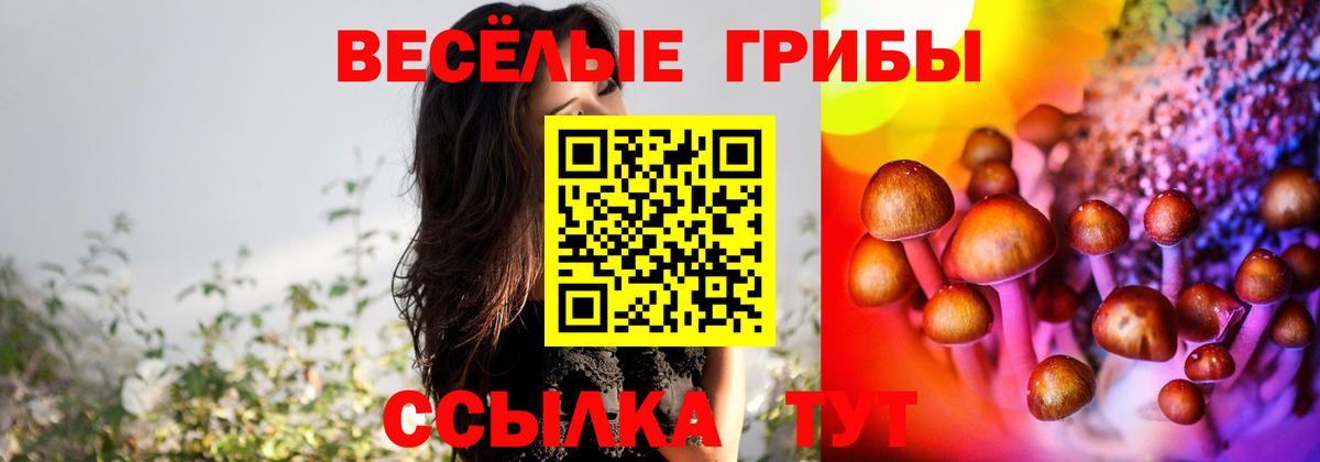 Шарыпово  Псилоцибиновые грибы GOLDEN TEACHER  где можно купить   Галлюциногенные грибы прущие грибы  Вход с VPN 